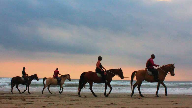 Canggu Beach for Horse Riding