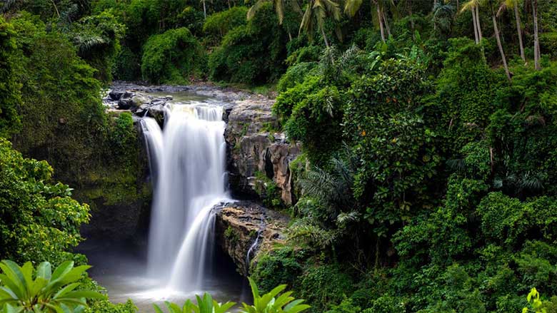 See waterfall at Tegenungan